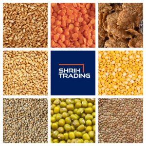 At Shrih Foods & Beverages, We Take Pride In Being Your Go-To Source For Premium Pulses And Food Grains! 🌟 Our Commitment To Quality And Excellence Shines Through In Every Product. Reach Out Today! Call/Whatsapp: +918169390366. #Pulsesandgrains #Shrihtrading #Foodquality