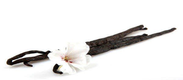 Indulge In The Exquisite World Of Shrih Vanilla Beans, Where Luxury Meets Flavor. As Premier Importers, Distributors, And Suppliers, We Take Pride In Delivering Only The Finest Quality. Elevate Your Culinary Creations With Our Meticulously Sourced Products. 🌟✨ #Shrihvanilla #Luxuryingredients #Culinaryexcellence