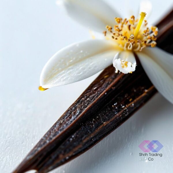 Discover The Exquisite Taste Of Shrih's Vanilla Beans Syrup, A Product Crafted With Precision And Passion. As A Leading Importer, Distributor, And Supplier, Shrih Foods & Beverages Is Dedicated To Delivering Only The Finest Quality. Experience The Difference Today! 🌱✨ #Vanillasyrup #Shrihfoods #Qualitybeverages