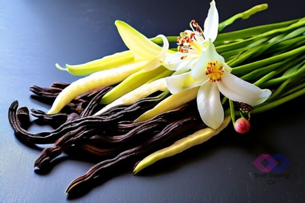 Taste The Difference With Shrih Foods & Beverages! Our Vanilla Beans Are Sourced With Care And Precision, Ensuring Top-Tier Quality For All Your Needs. 🌿 Contact Us Today At +918169390366 For More Information! #Vanillaexcellence #Shrihsuppliers #Tastethequality
