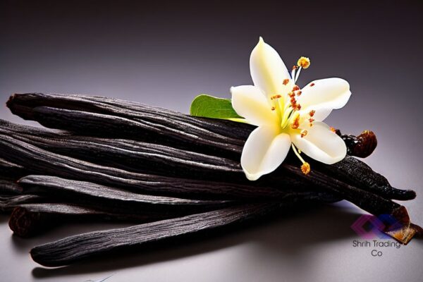 Experience The Rich Flavor Of Our Vanilla Beans, Brought To You By Shrih Foods & Beverages! 🌼 As Reputable Importers And Distributors, We Ensure That Every Product Meets Our High Standards Of Excellence. Thank You For Your Trust In Us! For Inquiries, Call/Whatsapp: +918169390366 Or Email: Shrihtrading@Gmail.Com. #Flavorfulvanilla #Shrihtrading #Foodquality