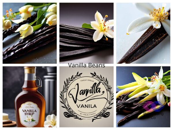 Discover The Exquisite World Of Vanilla Beans With Shrih Foods & Beverages! As Trusted Importers, Distributors, And Suppliers, We Are Dedicated To Delivering Only The Finest Quality Products. Experience The Difference With Our Premium Offerings. 🌱✨ #Vanillabeans #Shrihfoods #Qualityexcellence